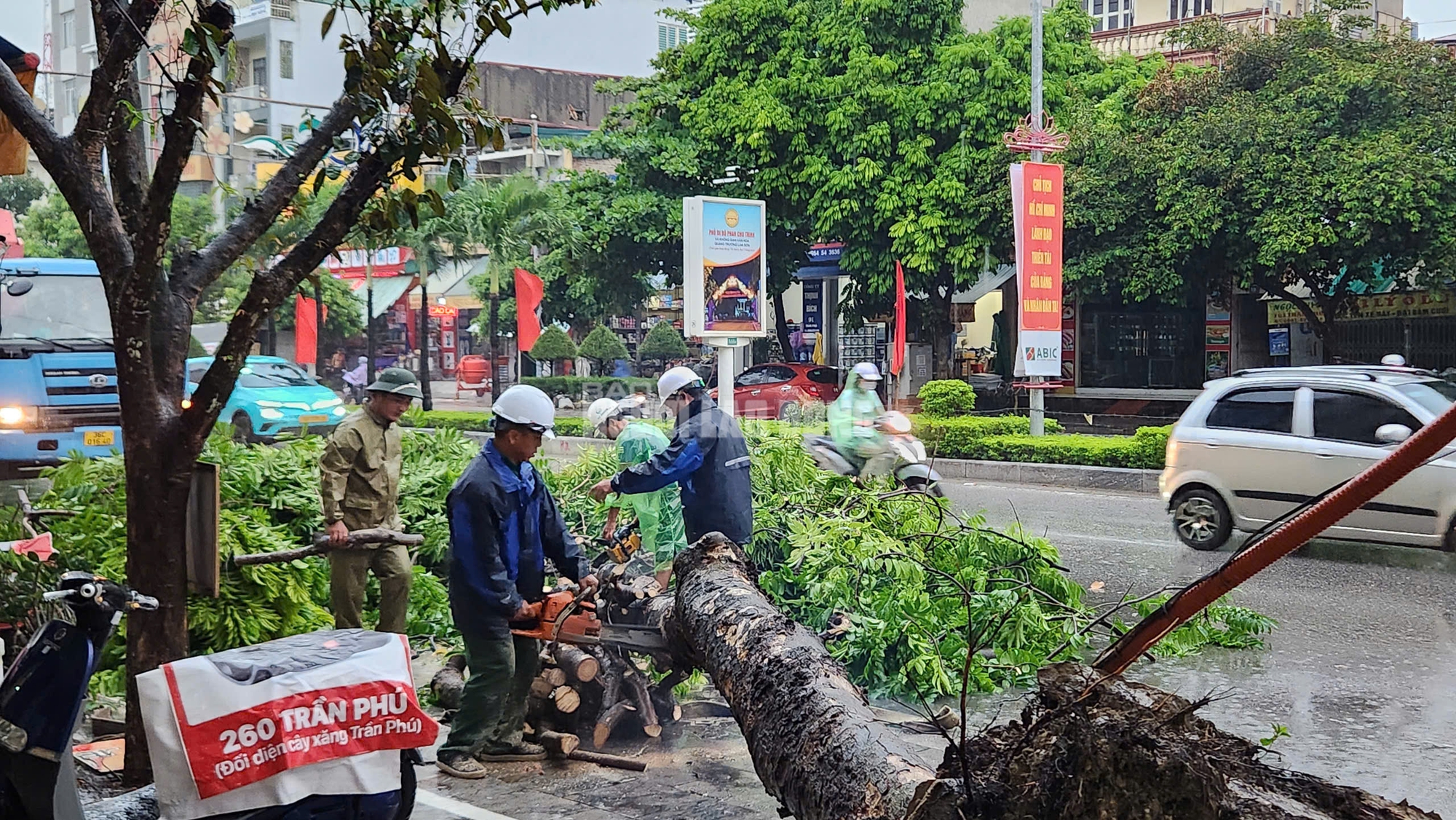 Bão số 3 làm hàng ngàn cây xanh gãy đổ.